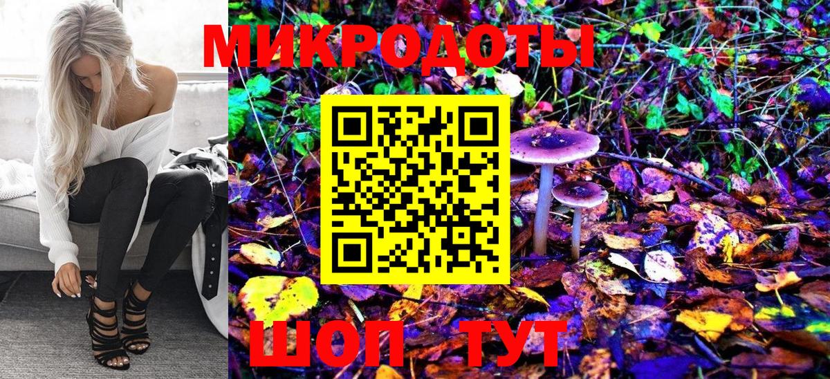 Сухой Лог  Псилоцибиновые грибы прущие грибы  Вход с VPN 